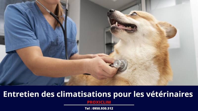 Entretien des climatisations réversibles pour les vétérinaires par PROXICLIM Marseille 